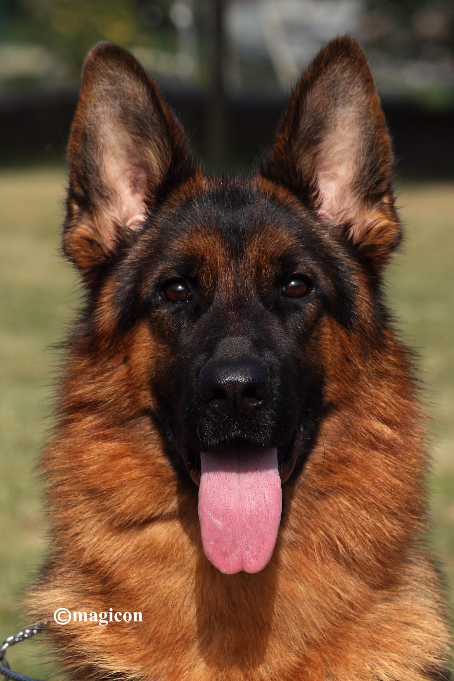 CH. Tahauri du clos d’azieu